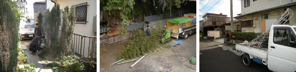 庭木の伐採、立ち木の枝落し、竹林のカット