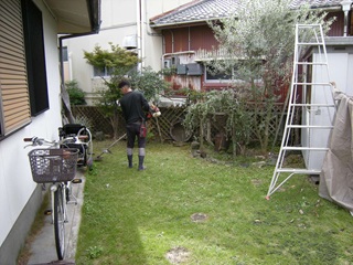 刈払い機で草刈り